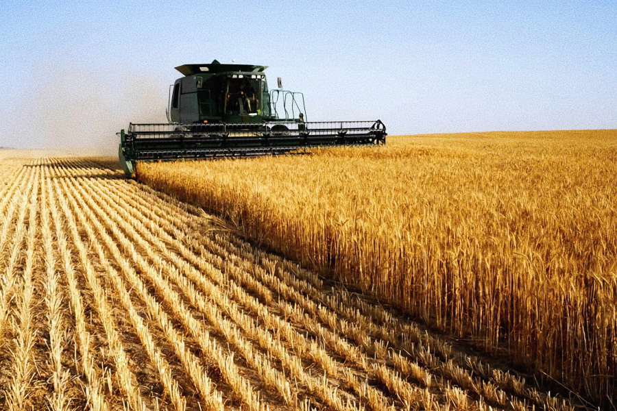 <b>Инспекции</b> сельскохозяйственной продукции